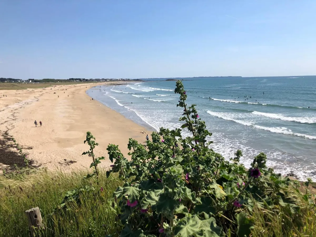 Loriot2 - Appartement Vue Sur Mer Ploemeur France